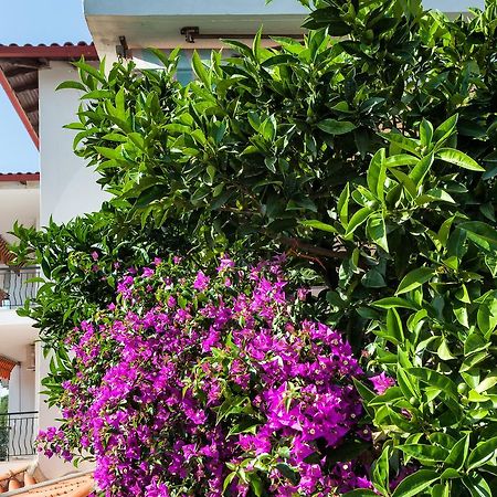 Xenios Loutra Village Mary'S House Agia Paraskevi  Eksteriør billede